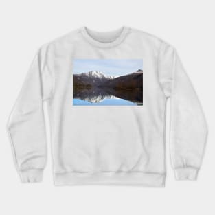 850_2881 Crewneck Sweatshirt